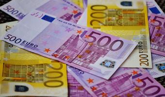 Sondaż dla wPolityce.pl. Euro przyniosłoby wyższe ceny