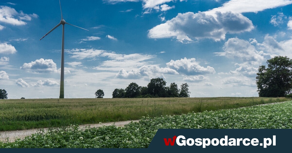 Rosną czynsze za dzierżawę ziemi pod OZE. Ile płacą?