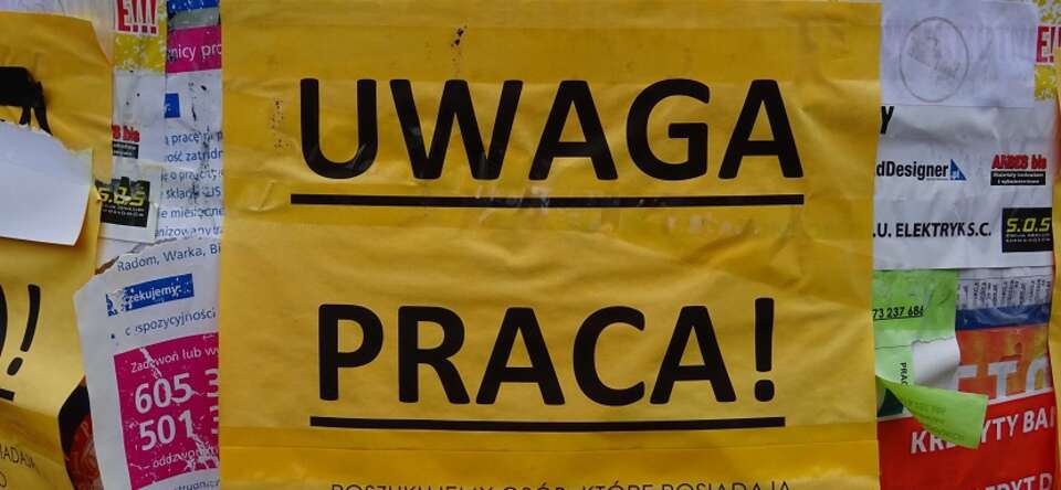 autor: Fratria