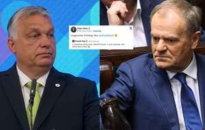 autor: Fratria/PAP/Albert Zawada