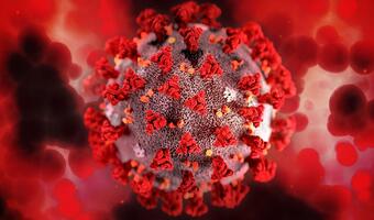 Nowy wariant wirusa - czemu powstał w Afryce?