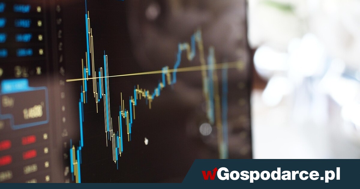 Piąty dzień wzrostów