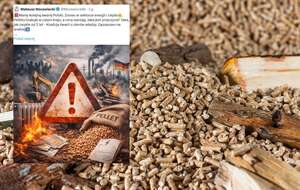 Mateusz Morawiecki: Mamy kolejną awarię Polski. Pelletu brakuje w całym kraju, a ceny wariują / autor: Pixabay / X @MorawieckiM - screen