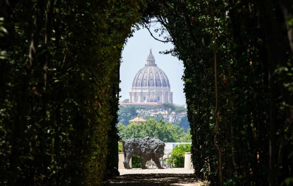Lew dla Leona XIV  / autor: Vatican Media