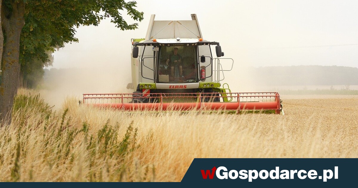 Co mają wspólnego Iran, biopaliwa i drożejący chleb?