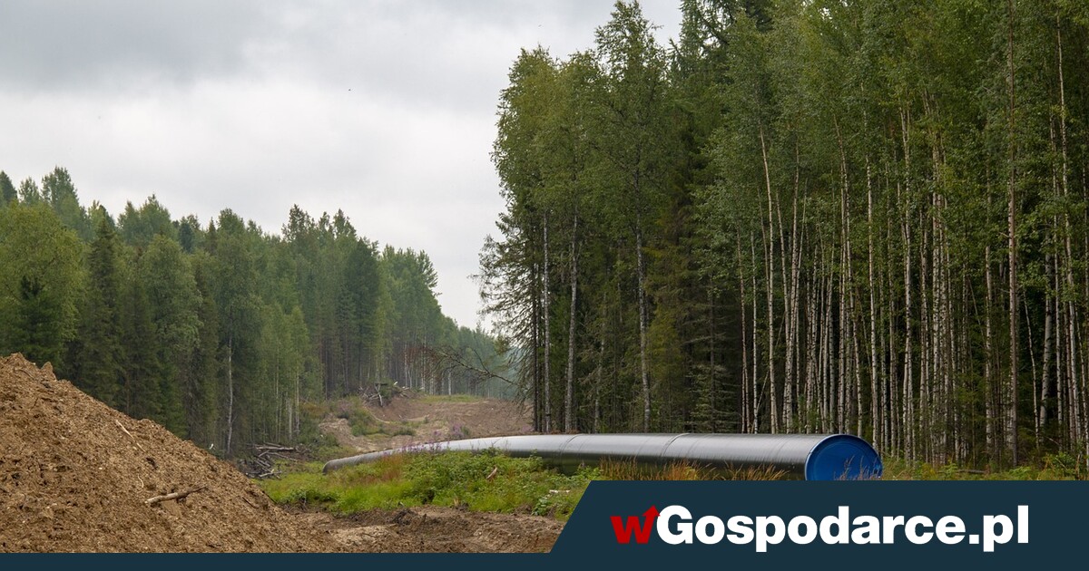 Europejski biometan. Scenariusz PL_UA