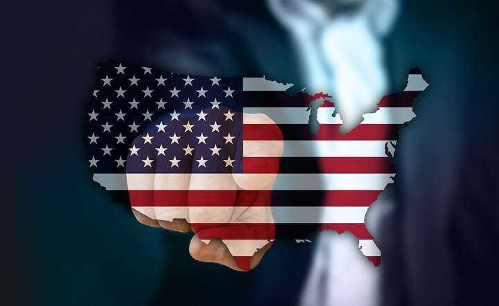 USA zamierzają powołać Rezerwę Odporności Strategicznej dla surowców zim rzadkich / autor: Pixabay