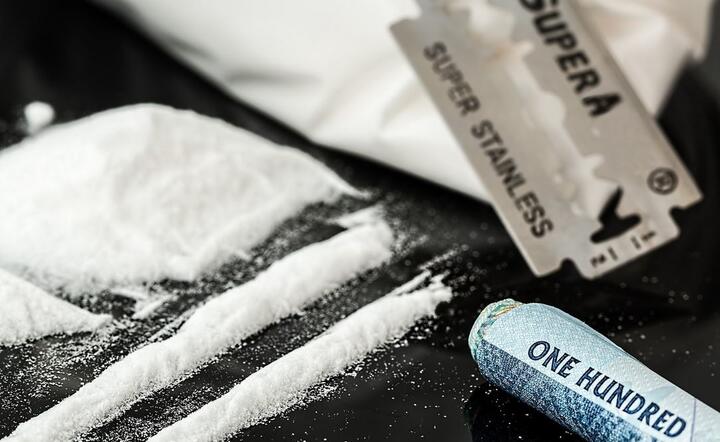 Wartość przejętej kokainy to ćwierć miliarda euro / autor: Pixabay