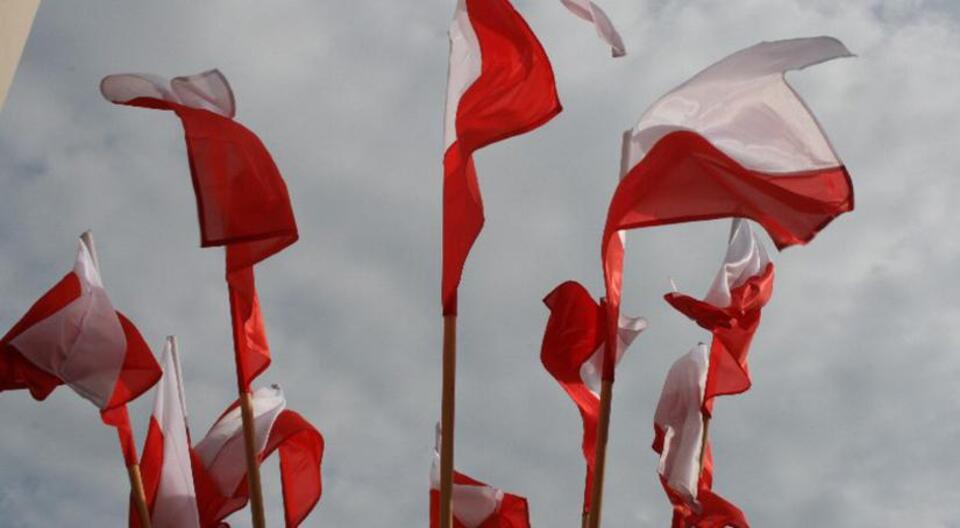 Flagi biało-czerwone / autor: Fratria. 