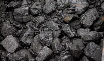 Problemy z węglem - "czarne złoto" mocno pożądane