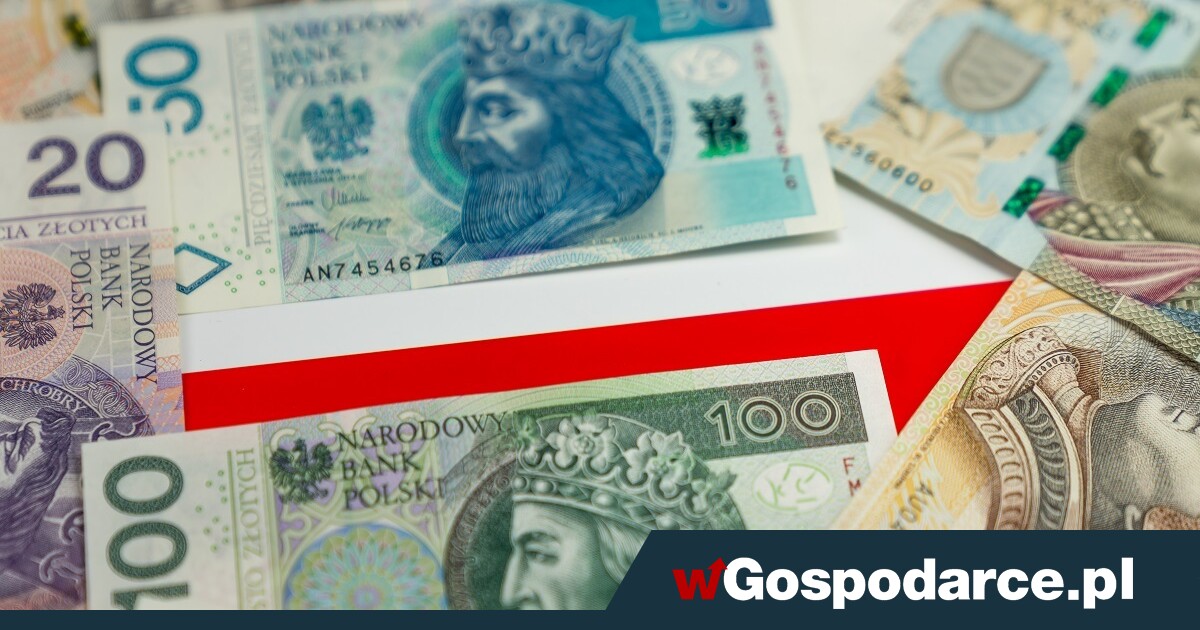 2025 rokiem mocnego złotego. Co z polskim eksportem?