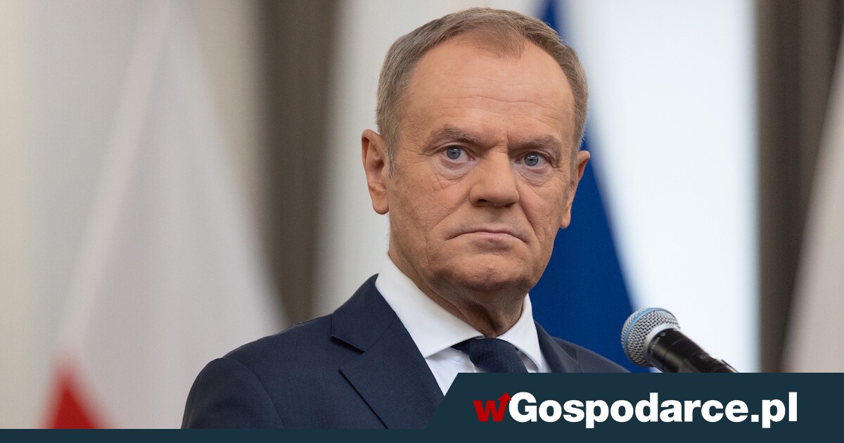 Paliwo po 8 zł/l. "Wiemy, jak zrobić by było po 5,19 zł"