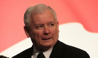 Kaczyński: Nie będzie można wycinać drzew pod inwestycje