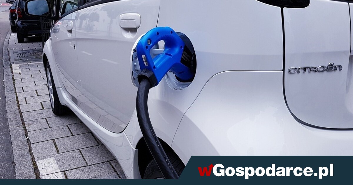 Elektryków na drogach (procentowo) mocno przybywa