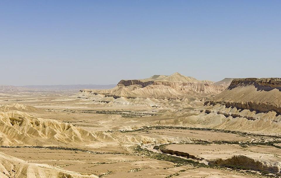 pustynia Negew / autor: WikimediaCommons/ https://commons.wikimedia.org/wiki/File:Israel-2013-Ein_Avdat_02.jpg