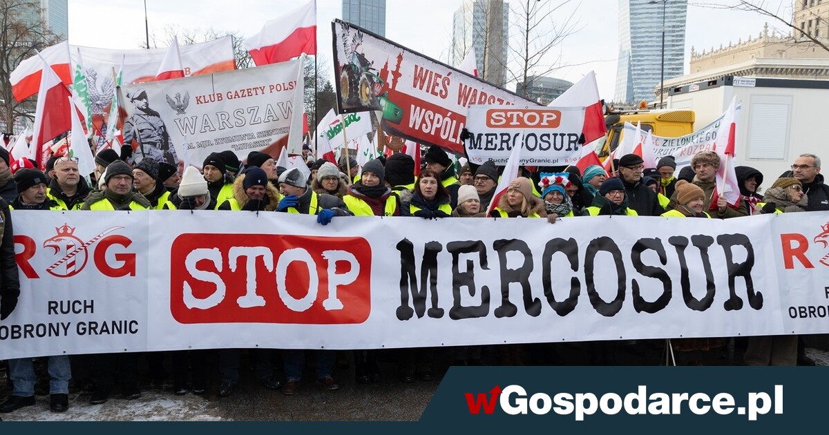 PSL zapowiada skargę do TSUE. To ustawka! – kwituje opozycja