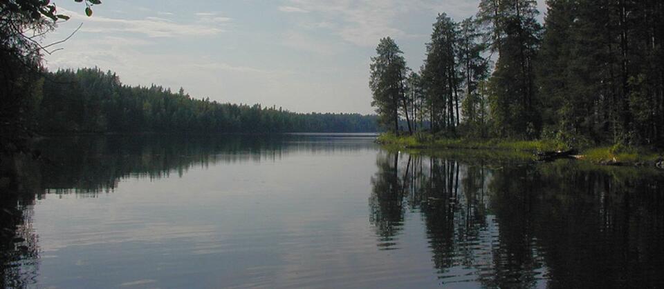 fot.  walks.ru/CC BY-SA 3.0