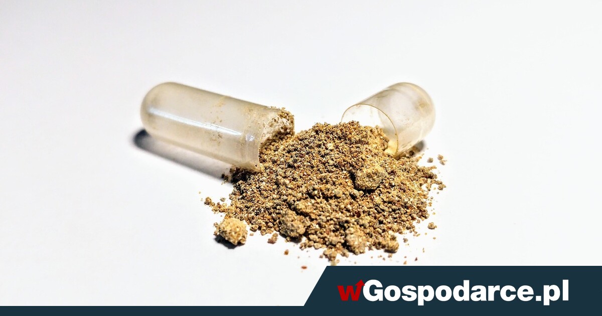 Czy warto przyjmować ashwagandhę na wsparcie tarczycy?