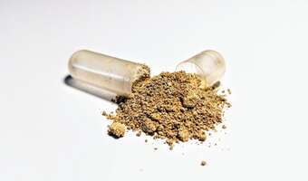 Czy warto przyjmować ashwagandhę na wsparcie tarczycy?