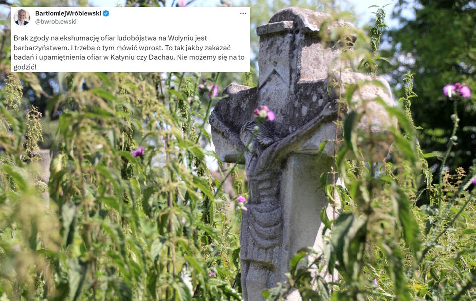 Polski cmentarz na Wołyniu / autor: Fratria/Twitter