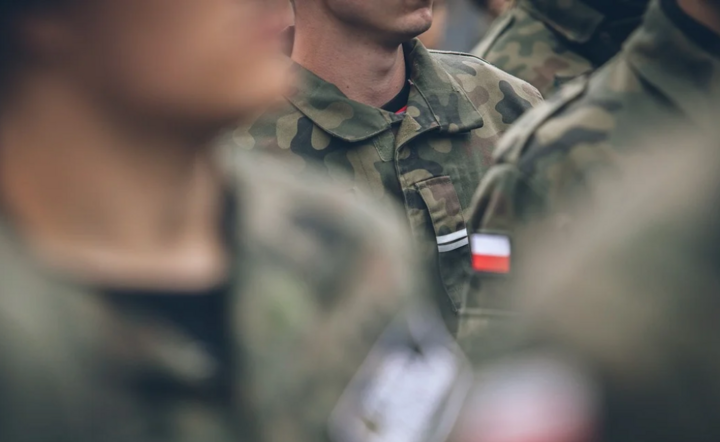 Polska armia w przyszłym roku zamierza powołać znacznie większą liczbę rezerwistów niż w ostatnich latach. / autor: Pixabay