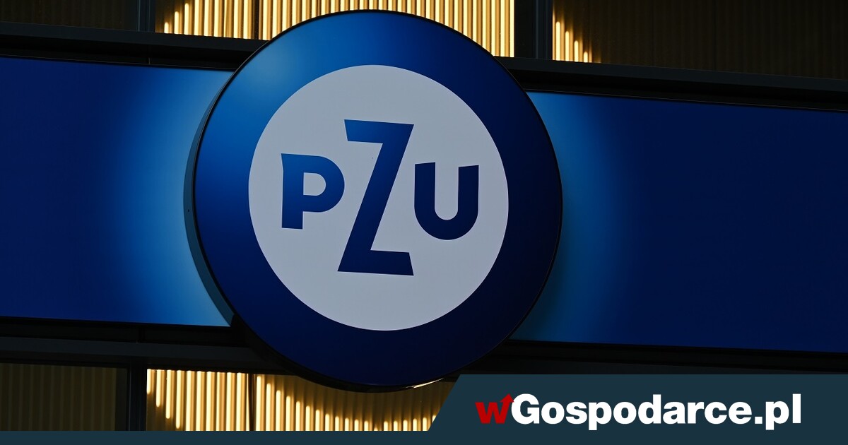 PZU: biznes ubezpieczeniowy przynosi coraz wyższe zyski