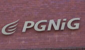PGNiG: Historycznie najlepsze wyniki w bardzo trudnym roku pandemii