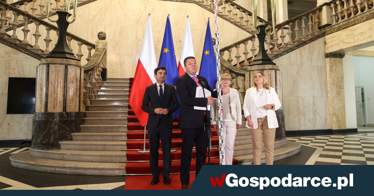 Ecological crisis in Silesia. Golden algae kills fish