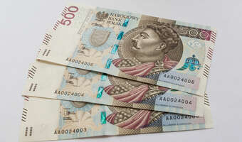 Dlaczego RPP stała się bardziej „gołębia”?