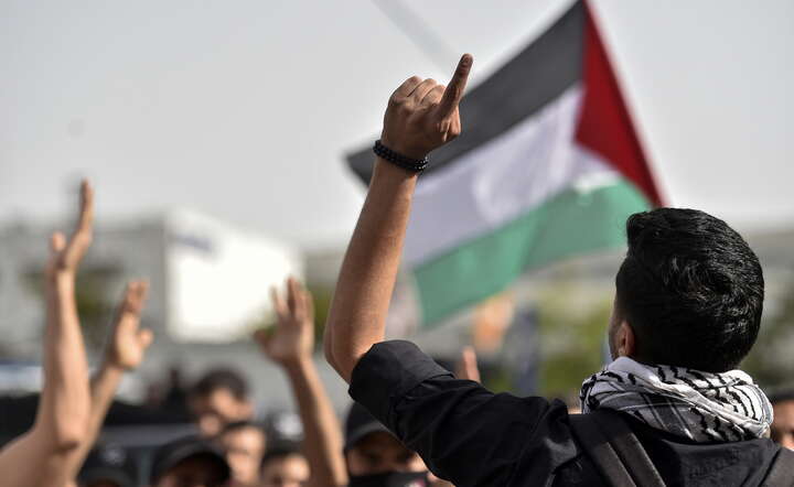 Pro-palestyńska demonstracja / autor: PAP/EPA/WAEL HAMZEH