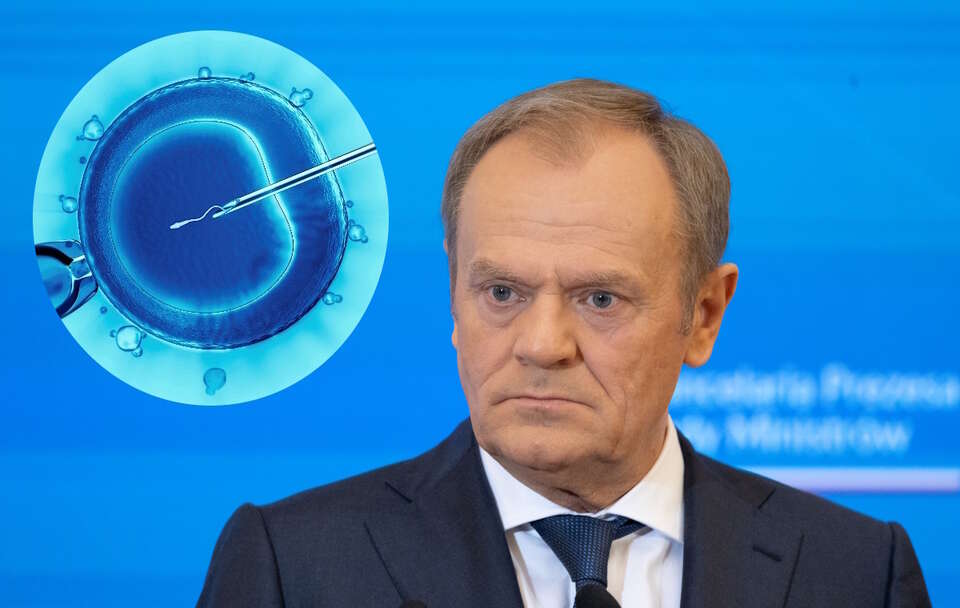 Donald Tusk / autor: Fratria/wikimedia.commons: US Government Owned Photo/https://www.cdc.gov/art/key-findings/icsi.html with UploadWizard