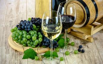 Winnica UJ zaprezentuje drugą edycję wina lodowego