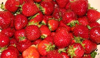 Można już kupić polskie truskawki