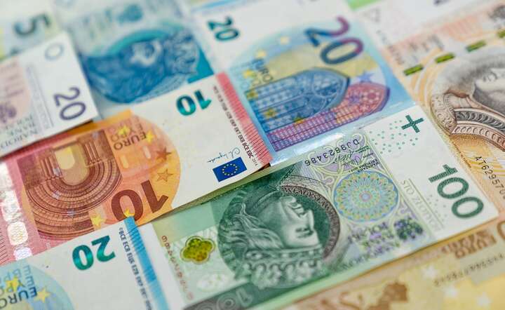 Polska waluta radzi sobie dość dobrze, patrząc na stan giełd / autor: Fratria / AS