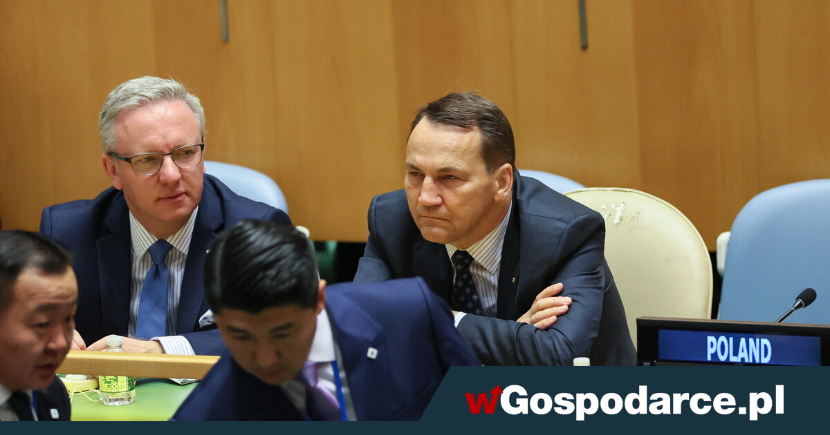 Yi poucza Sikorskiego: Chodzi o biznes