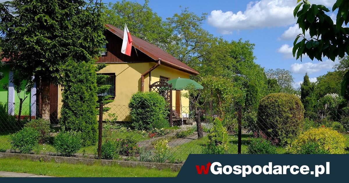Ogródek działkowy – drogi rarytas na rynku