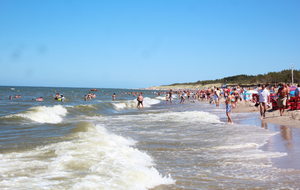 Plaża nad polskim Bałtykiem / autor: Fratria