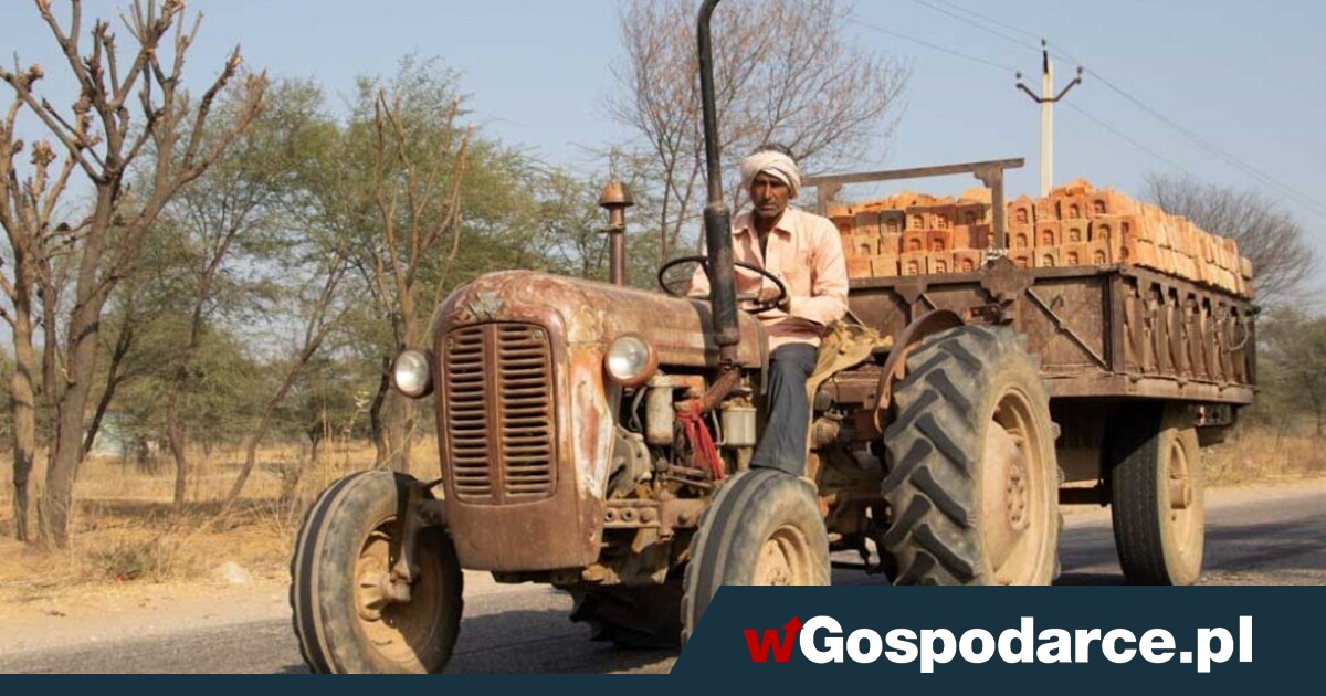 Umowa Brukseli z Indiami zabije unijne rolnictwo?