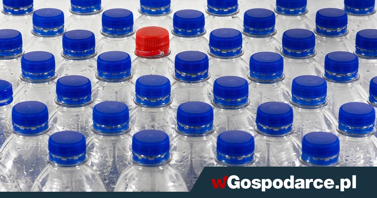 Czy system kaucyjny to „przewał stulecia”?