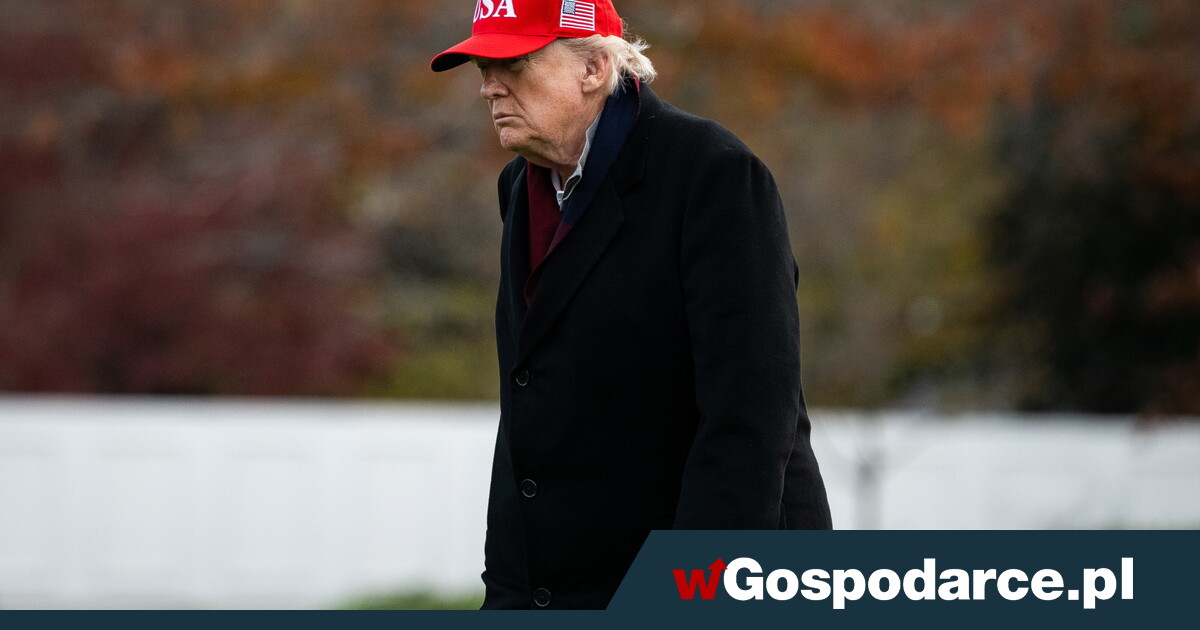 Porozumienie pokojowe. Ile straci Ukraina?