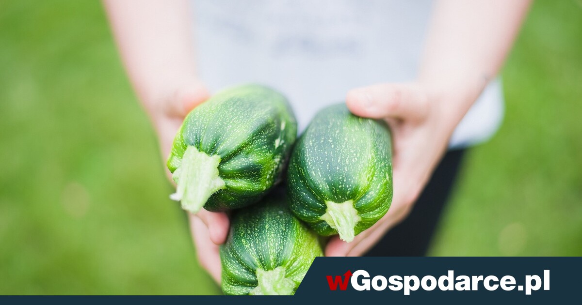 Fiskus żąda VAT-u za samozbiory!