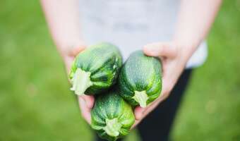 Fiskus żąda VAT-u za samozbiory!