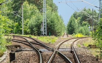 Utrudnienia na kolei między Myszkowem a Zawierciem  po wykolejeniu się wagonu towarowego