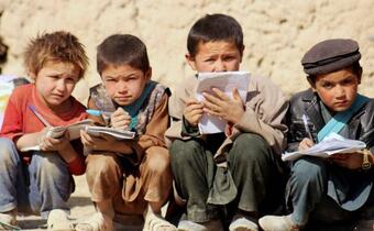 Podkowa Leśna: Zatrucie afgańskich dzieci grzybami, poszukiwany dawca wątroby