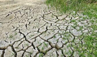 Masowy wysyp inwestycji chroniących przed suszą
