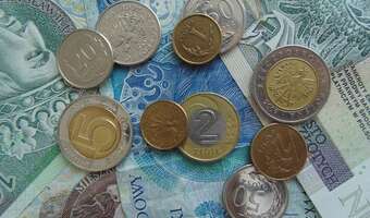 Złoty wyhamował spadki