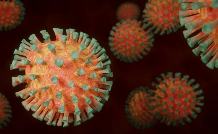 Nowa mutacja koronawirusa jest już w Polsce   / autor: Pixabay