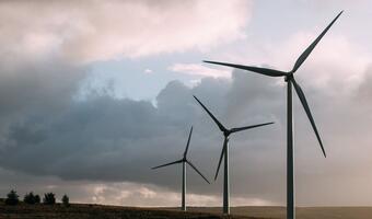 Komitet Stały zaakceptował nowelę o OZE