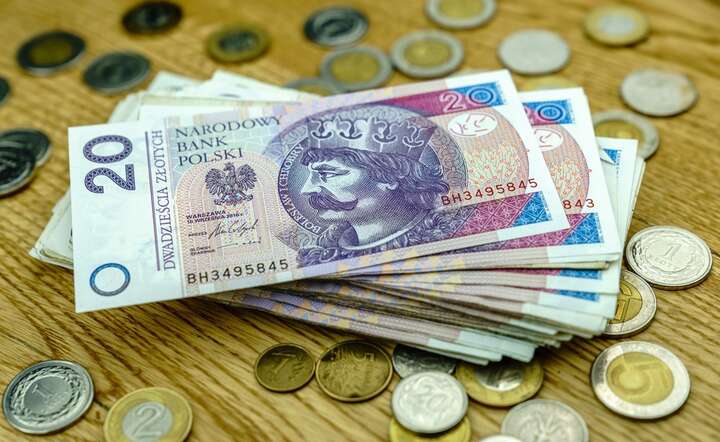Tylko 12 proc. Polaków deklaruje, że zarobki pozwalają im bez większego problemu finansować większe wydatki / autor: Fratria / AS