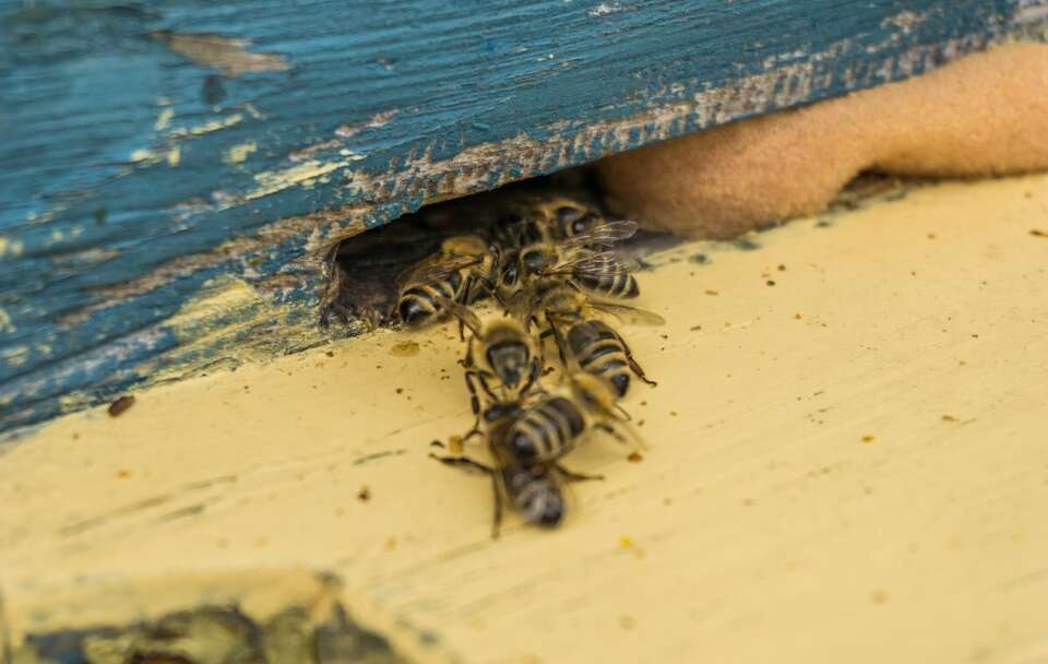 Zdjęcie ilustracyjne / autor: Fratria